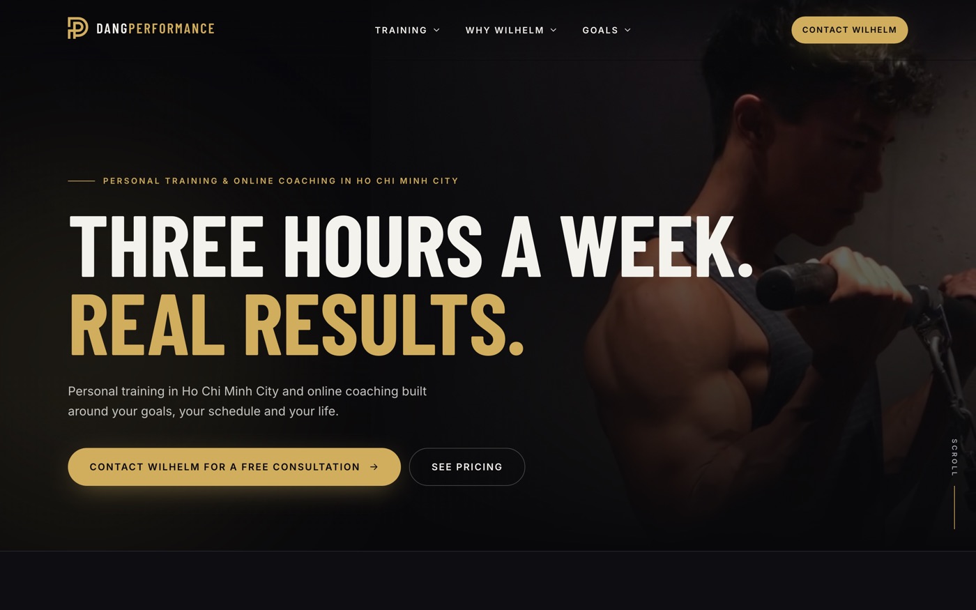 Dang Performance website